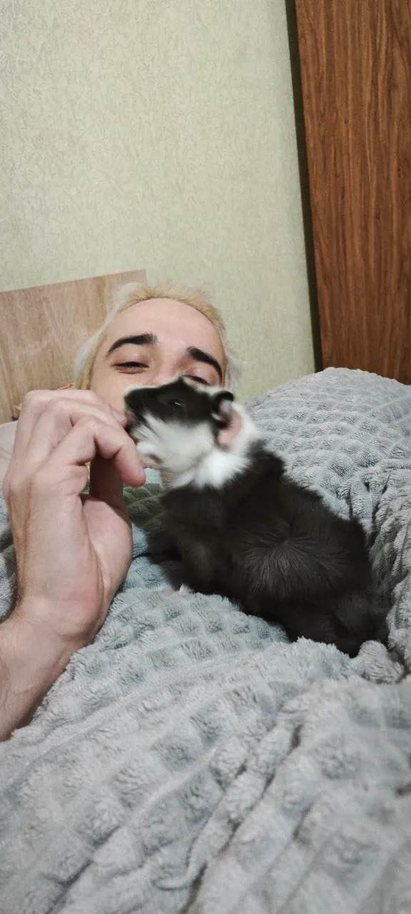 Гриша Ф
